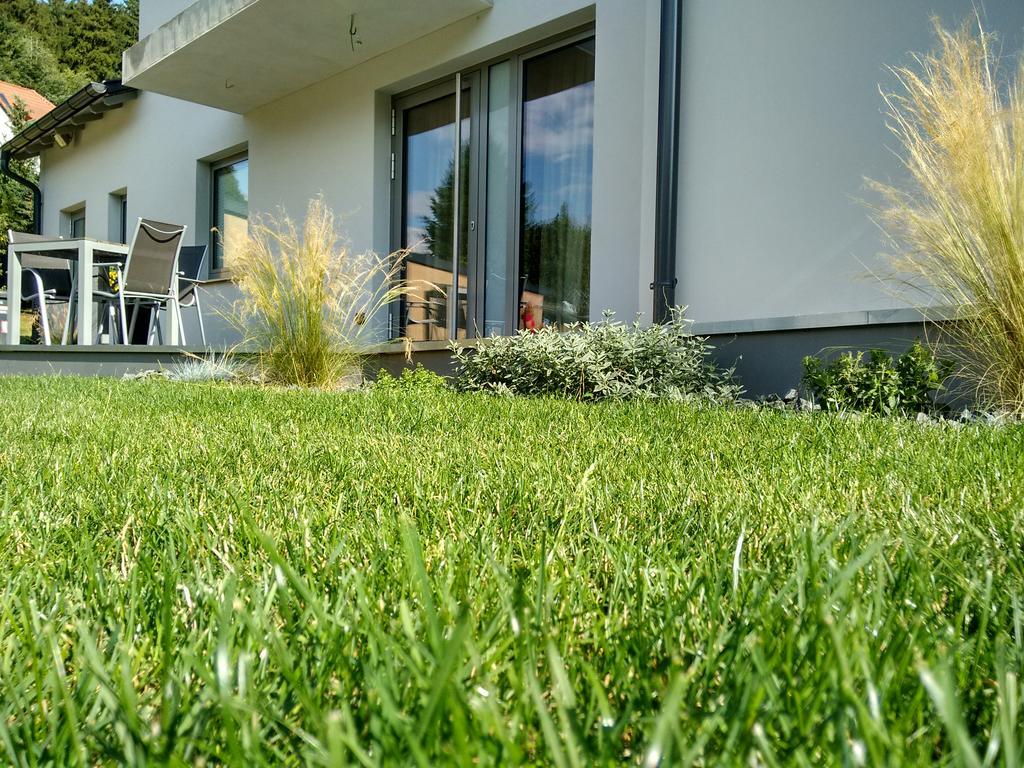 Apartment Haus Sembachtal Winterstein Exterior foto